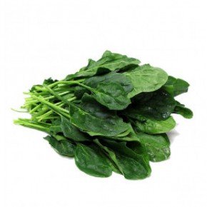 Hayvan Çiftliği - George Orwell - Can Yayınları